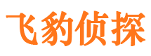 静安出轨调查